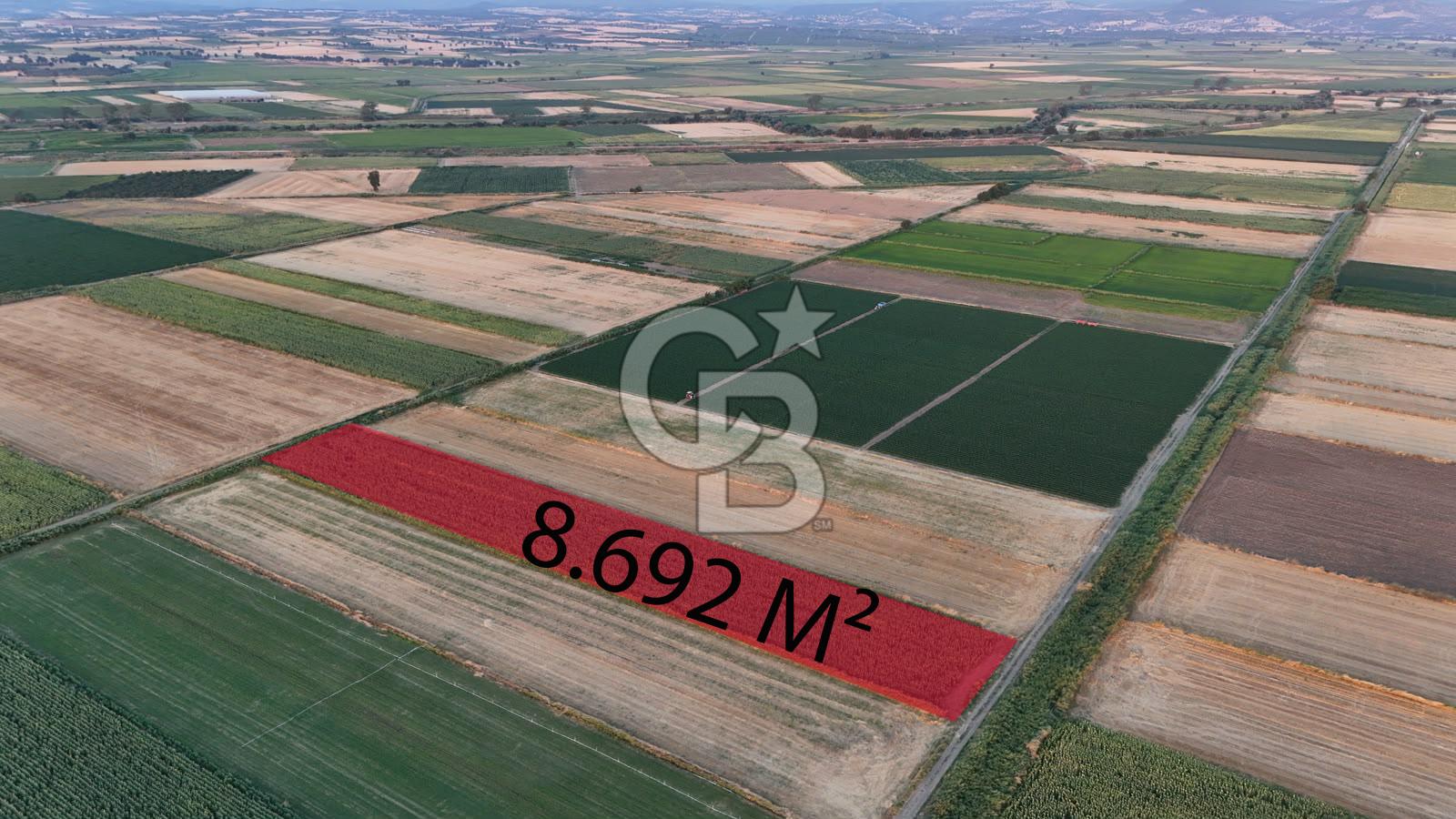Çanakkale Ezine Mahmudiye Satılık 8.692 M² Tarla!