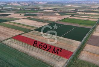 Çanakkale Ezine Mahmudiye Satılık 8.692 M² Tarla! - 5 - 367642