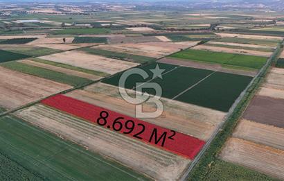Çanakkale Ezine Mahmudiye Satılık 8.692 M² Tarla!