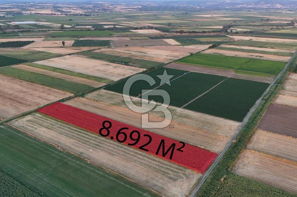 Çanakkale Ezine Mahmudiye Satılık 8.692 M² Tarla!