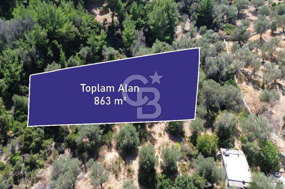 KARABURUN İNECİK'TE YEŞİLİN VE MAVİNİN BULUŞTUĞU BİR YAŞAM ALANI