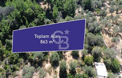 KARABURUN İNECİK'TE YEŞİLİN VE MAVİNİN BULUŞTUĞU BİR YAŞAM ALANI