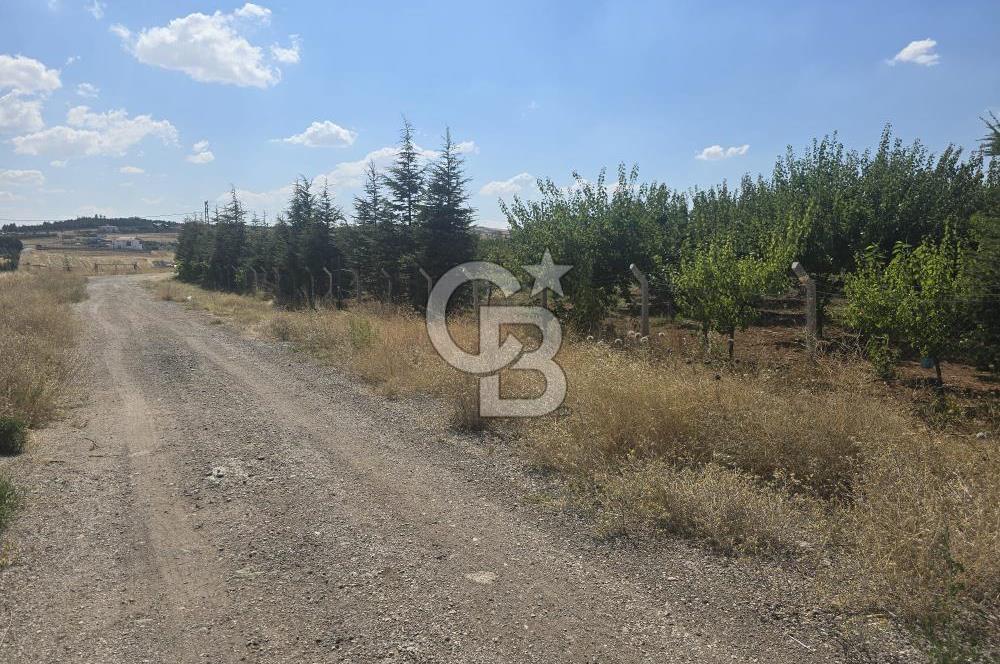 GÖLBAŞI HACILAR'DA YATIRIMA UYGUN FIRSAT VİLLA ARSASI
