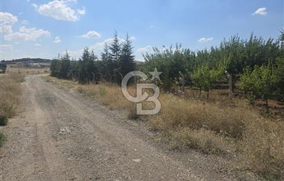 GÖLBAŞI HACILAR'DA YATIRIMA UYGUN FIRSAT VİLLA ARSASI