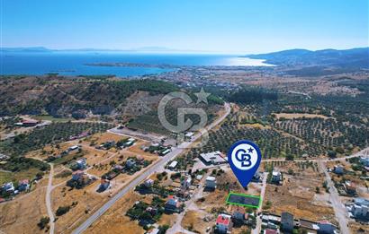 Çandarlı Mavikent'te Villa İmarlı 295m² Masrafsız Arsa