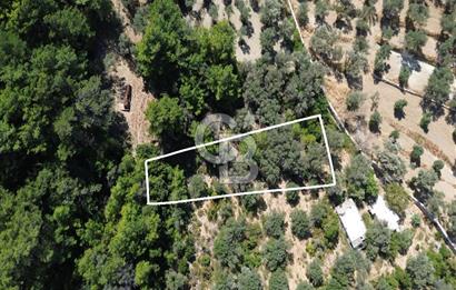 KARABURUN İNECİK'TE YEŞİLİN VE MAVİNİN BULUŞTUĞU BİR YAŞAM ALANI