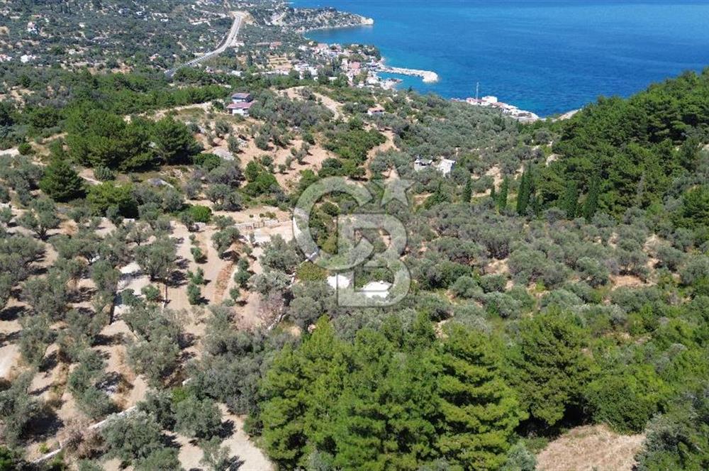 KARABURUN İNECİK'TE YEŞİLİN VE MAVİNİN BULUŞTUĞU BİR YAŞAM ALANI