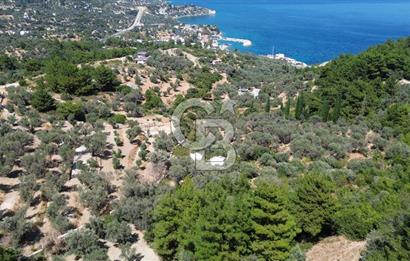 KARABURUN İNECİK'TE YEŞİLİN VE MAVİNİN BULUŞTUĞU BİR YAŞAM ALANI