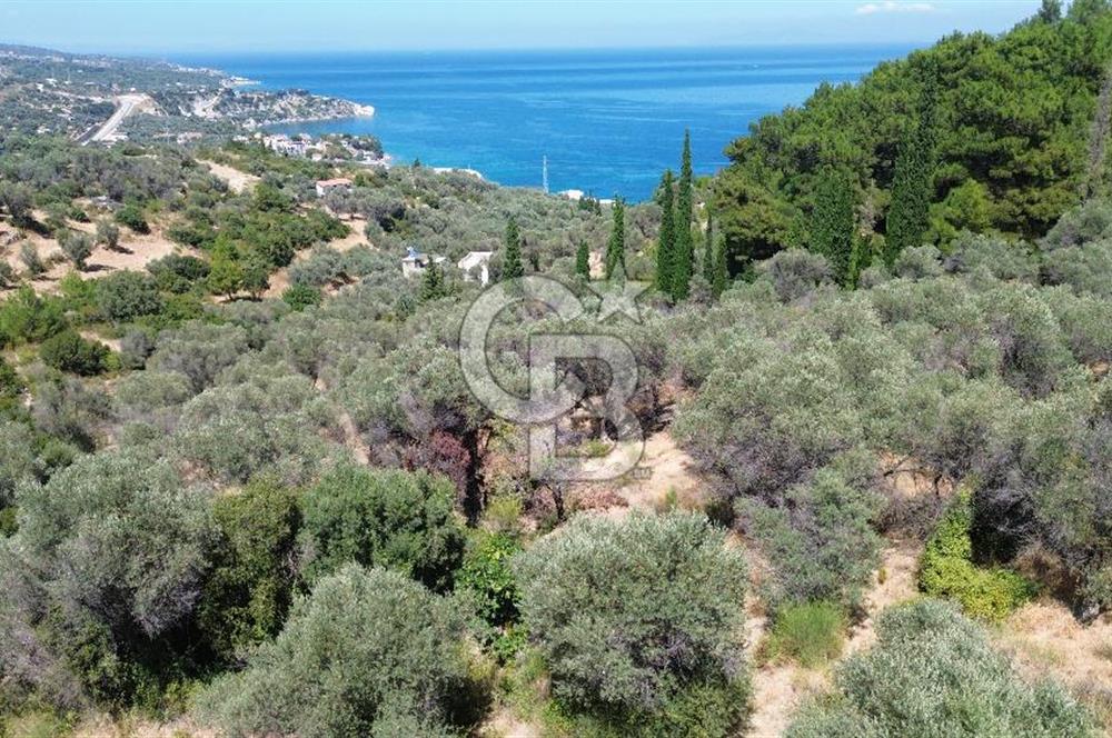 KARABURUN İNECİK'TE YEŞİLİN VE MAVİNİN BULUŞTUĞU BİR YAŞAM ALANI