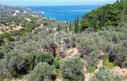 KARABURUN İNECİK'TE YEŞİLİN VE MAVİNİN BULUŞTUĞU BİR YAŞAM ALANI