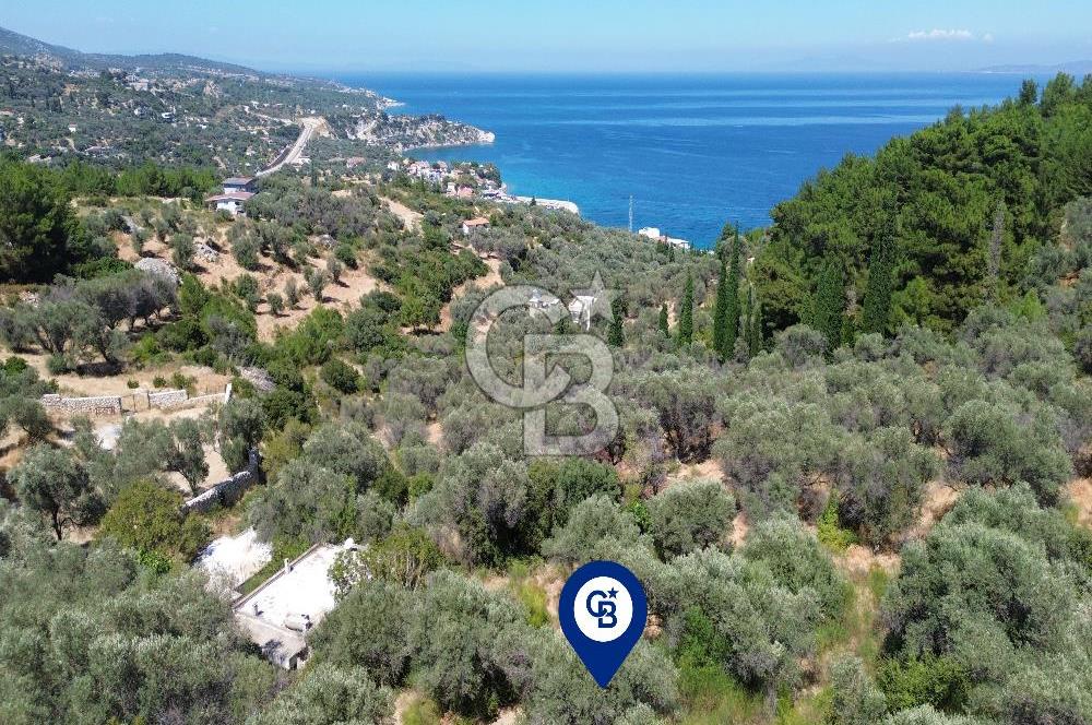 KARABURUN İNECİK'TE YEŞİLİN VE MAVİNİN BULUŞTUĞU BİR YAŞAM ALANI