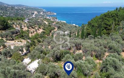 KARABURUN İNECİK'TE YEŞİLİN VE MAVİNİN BULUŞTUĞU BİR YAŞAM ALANI