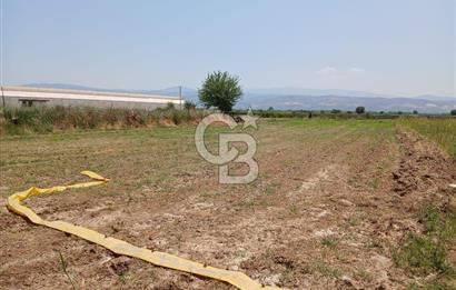 Aydın Köşk Yavuzköy de satılık tarla