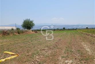 Aydın Köşk Yavuzköy de satılık tarla - 8 - 367667