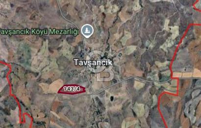 KALECİK'TE TAVŞANCIK KÜME EVLERİ KOOP'DE SATILIK HİSSE