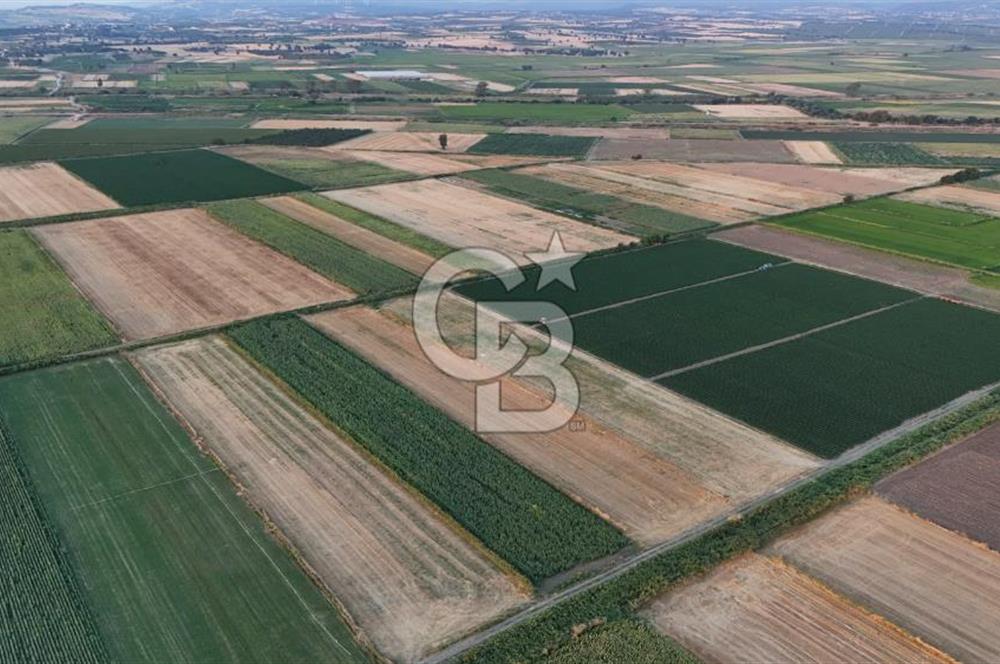 Çanakkale Ezine Mahmudiye Satılık 8.692 M² Tarla!