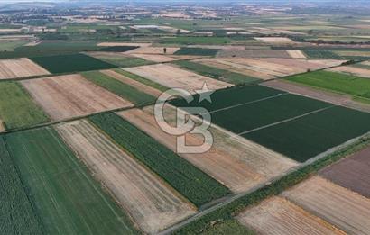 Çanakkale Ezine Mahmudiye Satılık 8.692 M² Tarla!