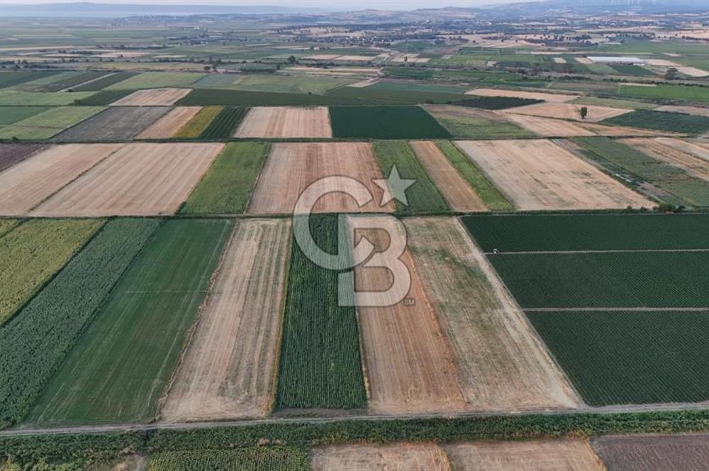 Çanakkale Ezine Mahmudiye Satılık 8.692 M² Tarla!