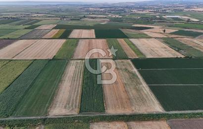 Çanakkale Ezine Mahmudiye Satılık 8.692 M² Tarla!