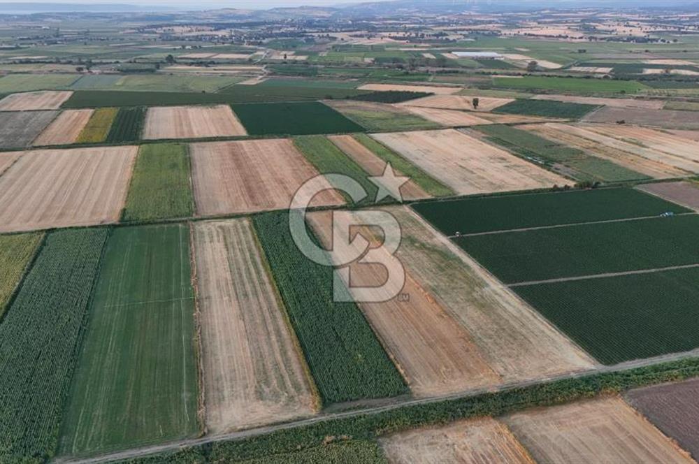 Çanakkale Ezine Mahmudiye Satılık 8.692 M² Tarla!
