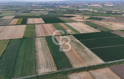 Çanakkale Ezine Mahmudiye Satılık 8.692 M² Tarla!