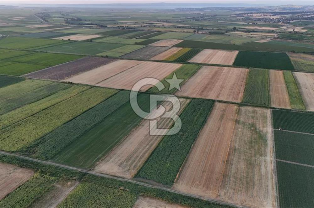 Çanakkale Ezine Mahmudiye Satılık 8.692 M² Tarla!