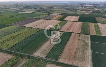 Çanakkale Ezine Mahmudiye Satılık 8.692 M² Tarla!