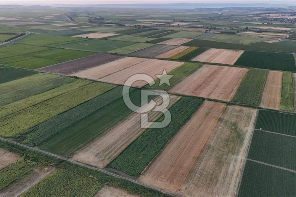Çanakkale Ezine Mahmudiye Satılık 8.692 M² Tarla!