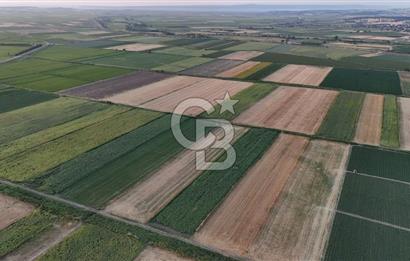 Çanakkale Ezine Mahmudiye Satılık 8.692 M² Tarla!