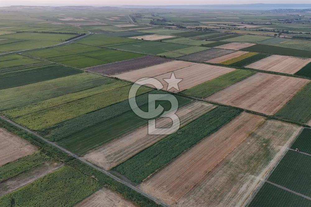 Çanakkale Ezine Mahmudiye Satılık 8.692 M² Tarla!
