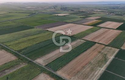 Çanakkale Ezine Mahmudiye Satılık 8.692 M² Tarla!