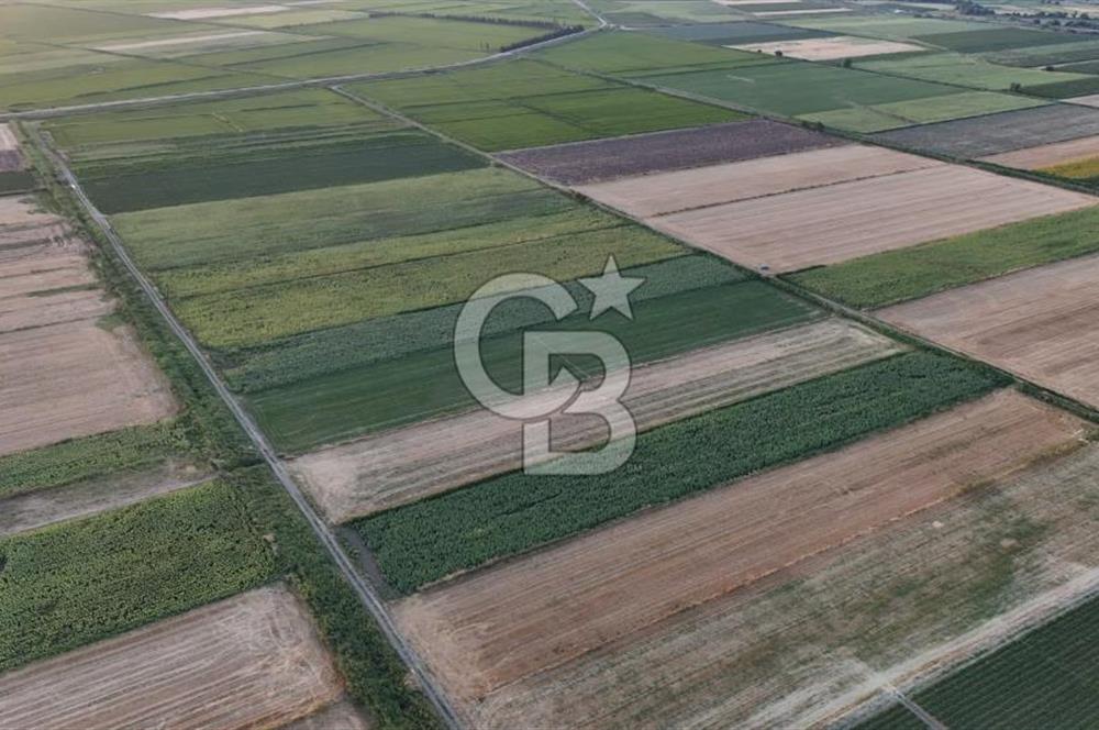 Çanakkale Ezine Mahmudiye Satılık 8.692 M² Tarla!