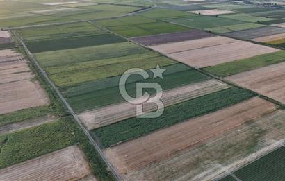 Çanakkale Ezine Mahmudiye Satılık 8.692 M² Tarla!
