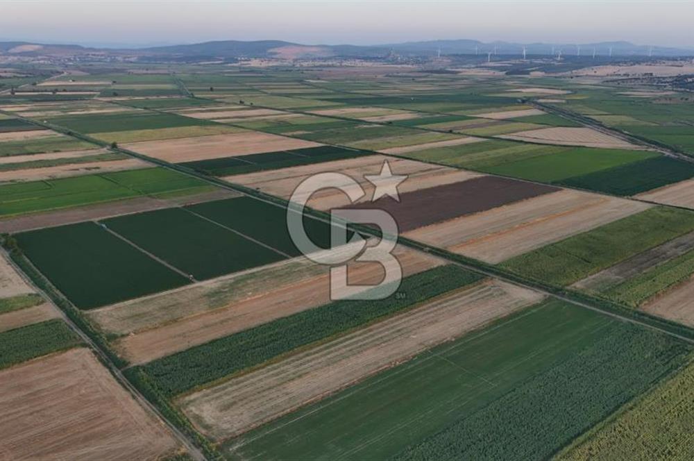 Çanakkale Ezine Mahmudiye Satılık 8.692 M² Tarla!