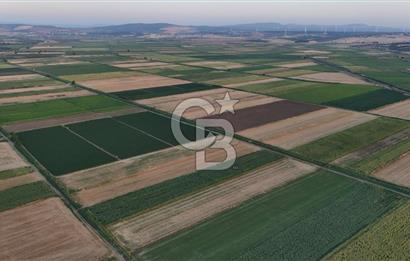 Çanakkale Ezine Mahmudiye Satılık 8.692 M² Tarla!
