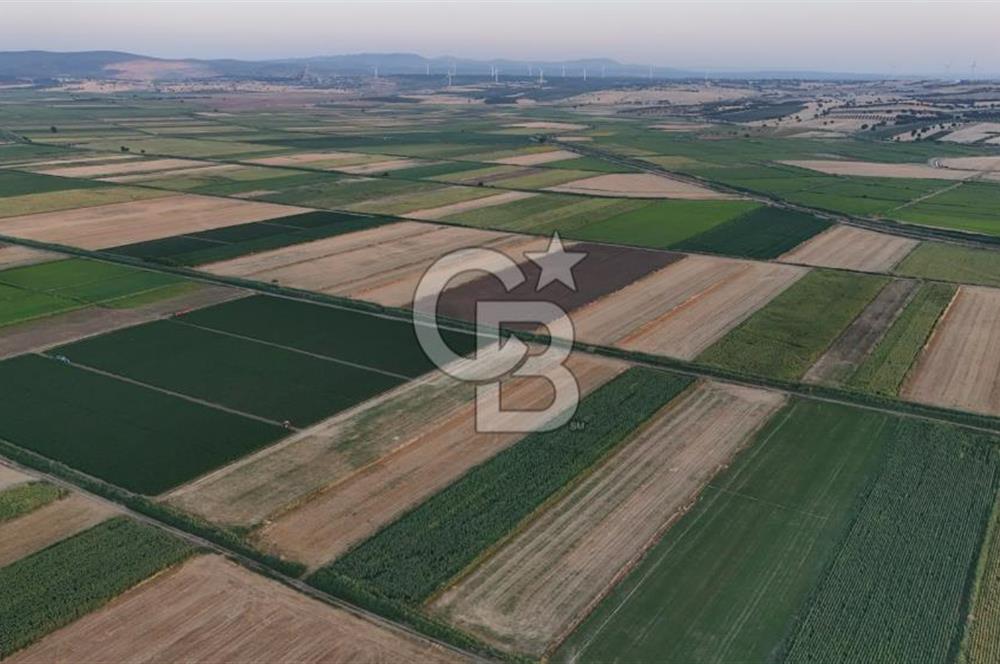 Çanakkale Ezine Mahmudiye Satılık 8.692 M² Tarla!