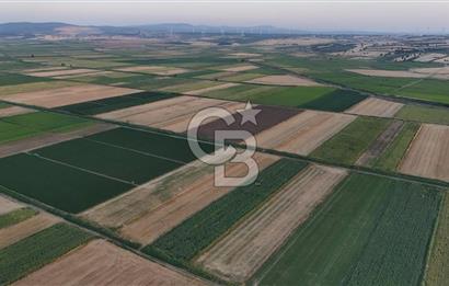 Çanakkale Ezine Mahmudiye Satılık 8.692 M² Tarla!