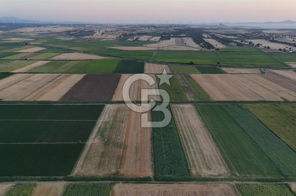 Çanakkale Ezine Mahmudiye Satılık 8.692 M² Tarla!