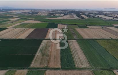 Çanakkale Ezine Mahmudiye Satılık 8.692 M² Tarla!