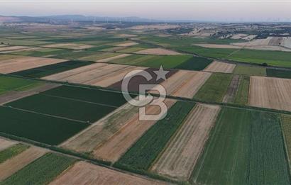 Çanakkale Ezine Mahmudiye Satılık 8.692 M² Tarla!