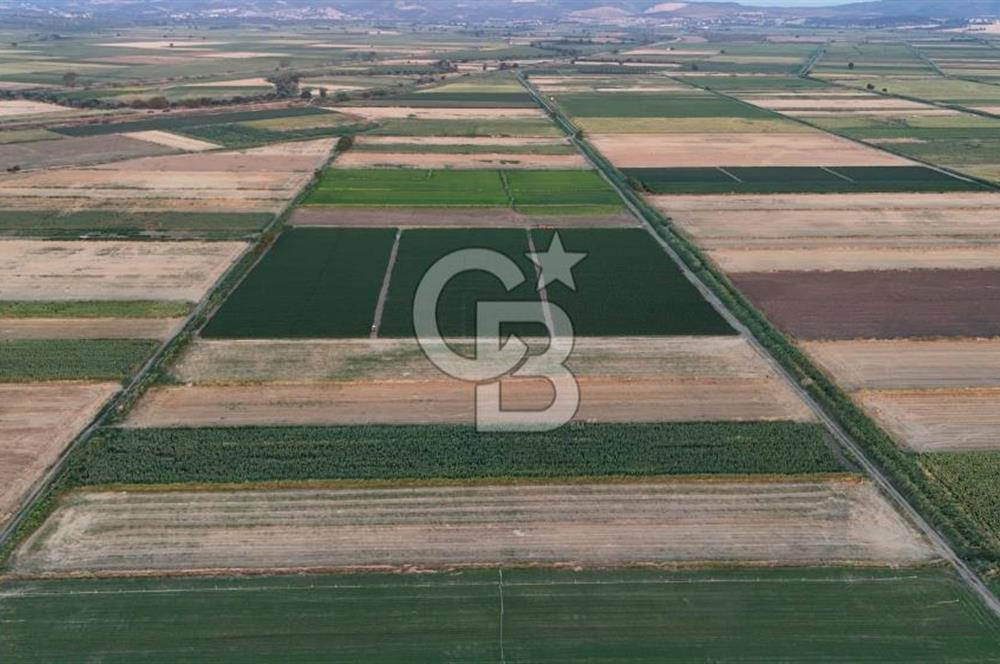 Çanakkale Ezine Mahmudiye Satılık 8.692 M² Tarla!