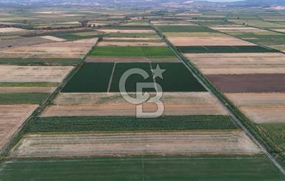 Çanakkale Ezine Mahmudiye Satılık 8.692 M² Tarla!