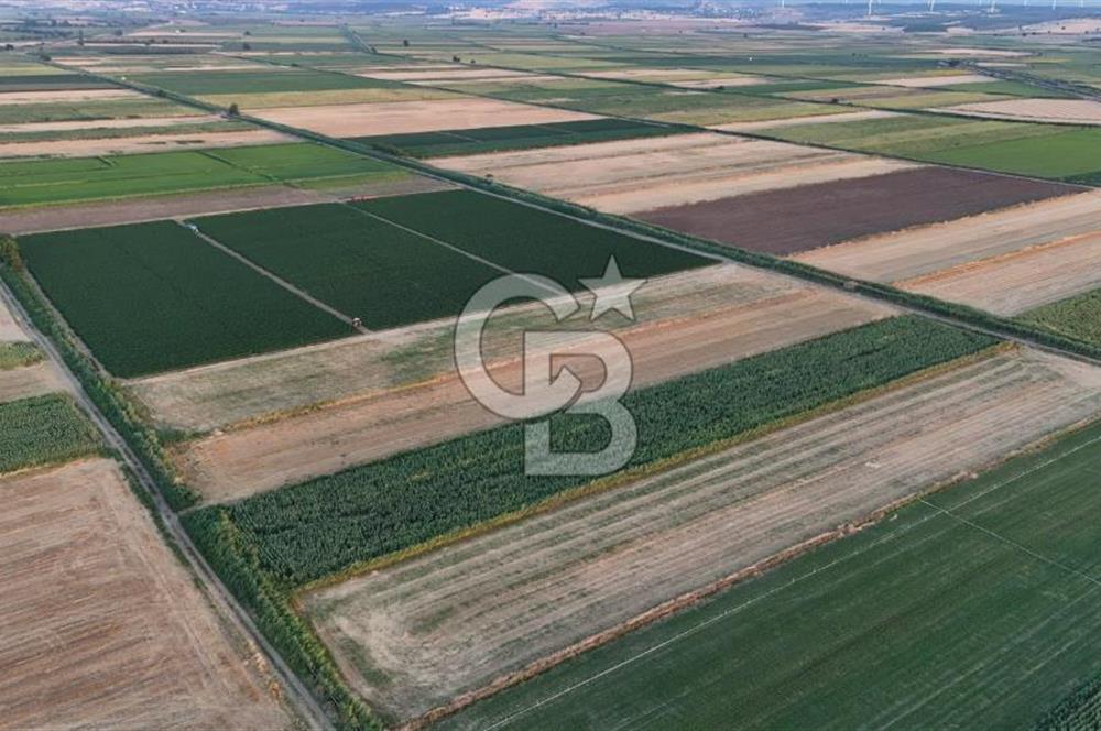 Çanakkale Ezine Mahmudiye Satılık 8.692 M² Tarla!