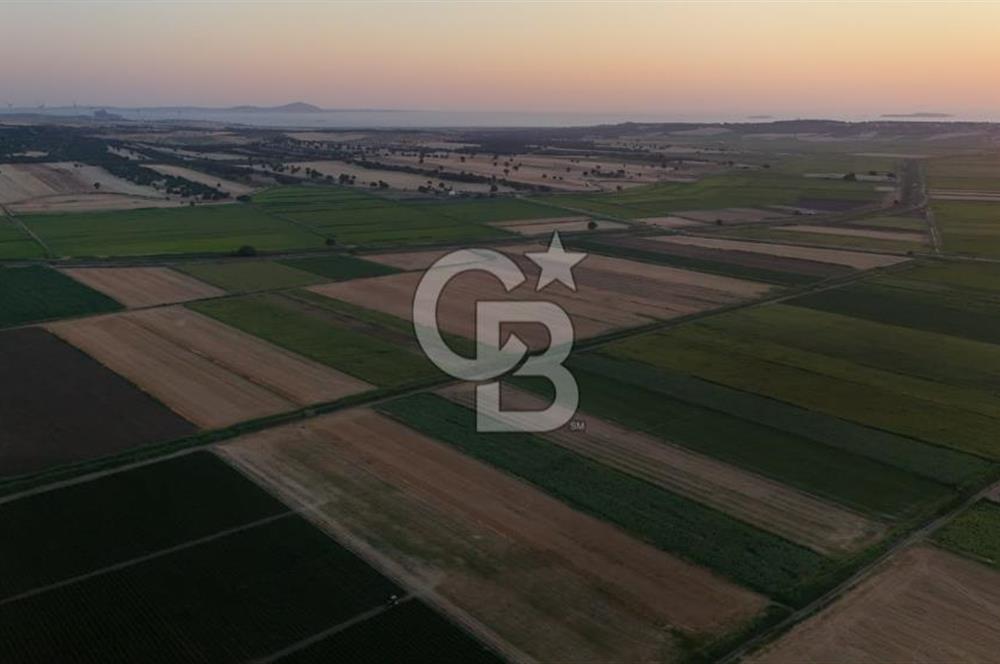 Çanakkale Ezine Mahmudiye Satılık 8.692 M² Tarla!