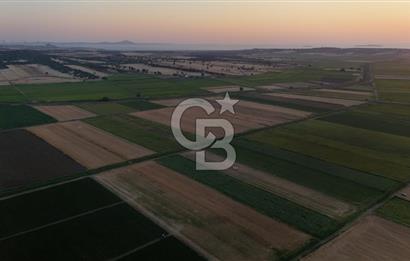 Çanakkale Ezine Mahmudiye Satılık 8.692 M² Tarla!