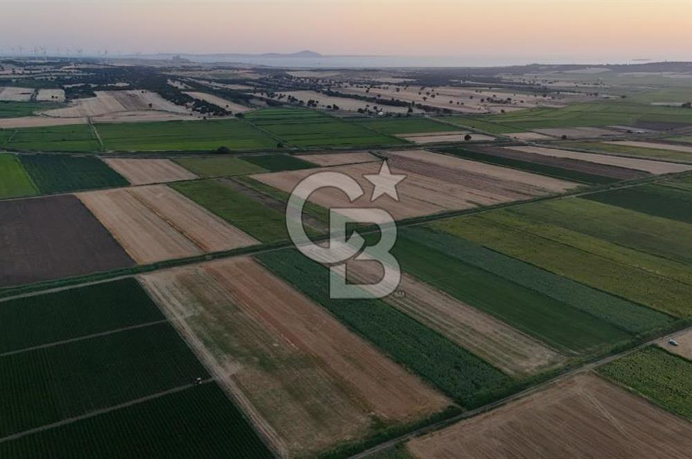 Çanakkale Ezine Mahmudiye Satılık 8.692 M² Tarla!