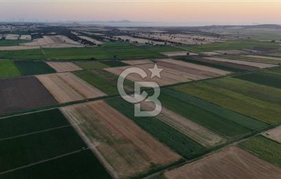 Çanakkale Ezine Mahmudiye Satılık 8.692 M² Tarla!