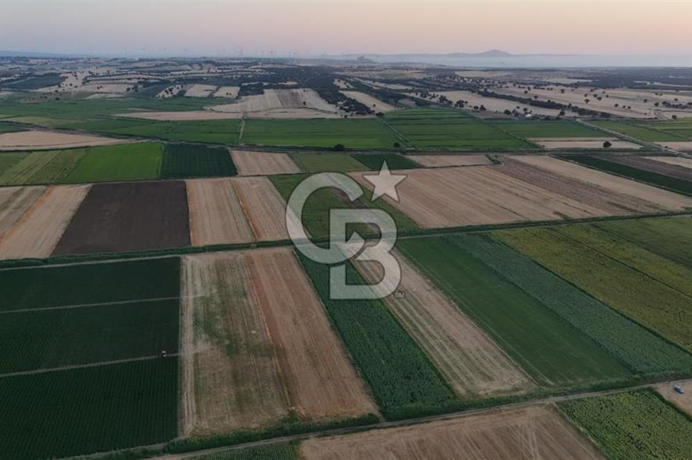 Çanakkale Ezine Mahmudiye Satılık 8.692 M² Tarla!