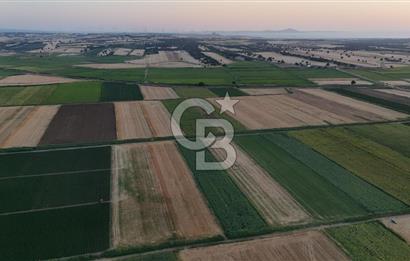Çanakkale Ezine Mahmudiye Satılık 8.692 M² Tarla!