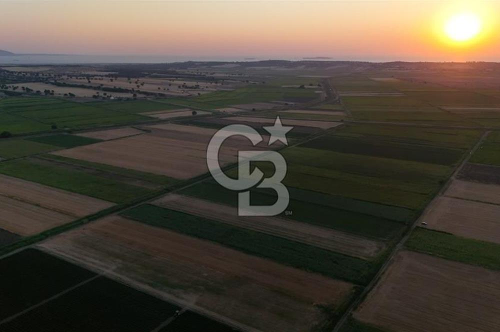 Çanakkale Ezine Mahmudiye Satılık 8.692 M² Tarla!